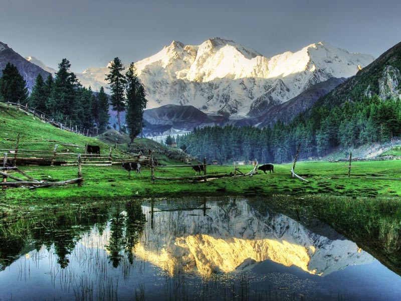 Fairy Meadows Tour